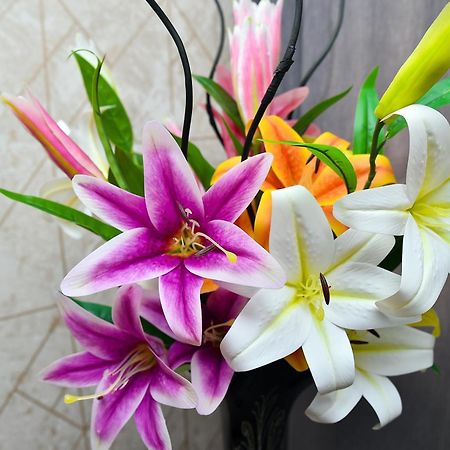באקו Karat Inn Boutique Hotel מראה חיצוני תמונה